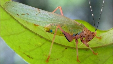 ������: ����� ��������� ������� �������� ����� �� �����