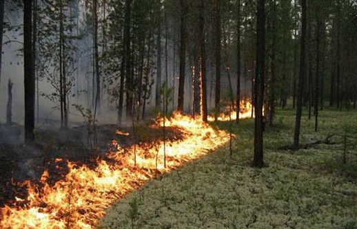 � ������ �������� ����������� ��������� ���������� �� ������� ��������