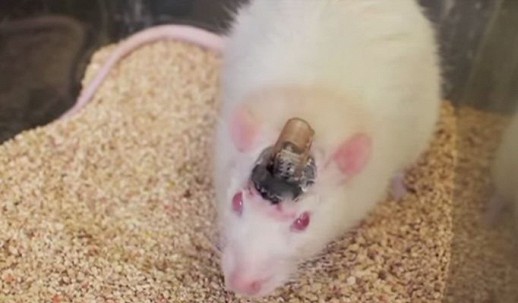 ������������ ������ ��������� ������������ ��������� ������