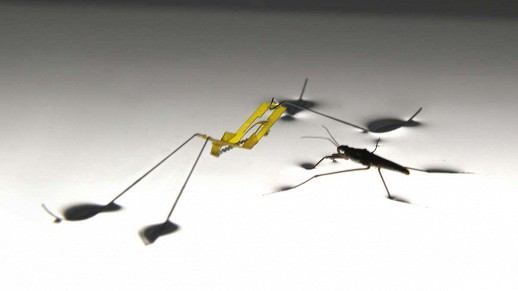 ������������ ������ ������� ������� �� ����