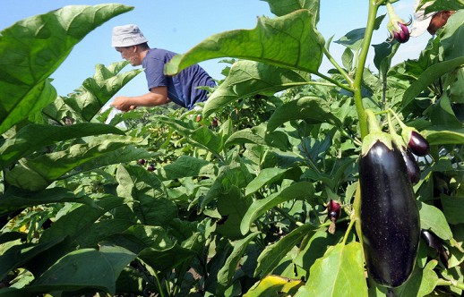 ������������ ������ ������� ����� ���� ������� ���������� ��� ������