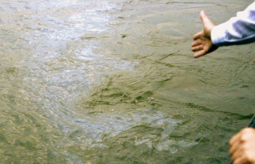 ������ ������, ��� ����� ����� �� ����