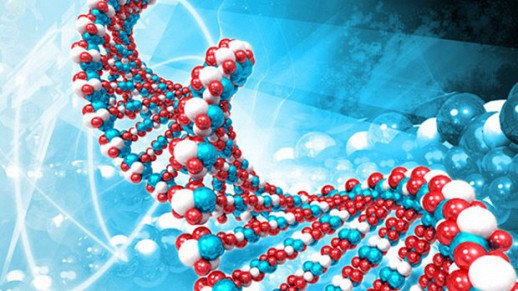 ������� ������� ����� ��� ���������� ������������ ���������