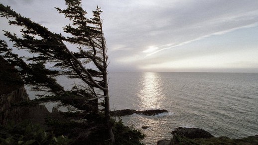 ������� � �������� ������� ������������� � ����������� "����������"