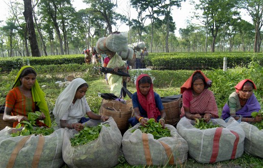 ��������� ������� �� ����� �������� �� ���� ���������� ���