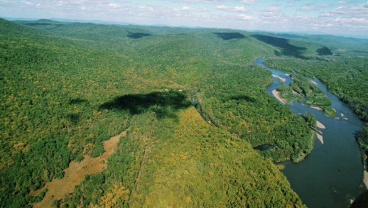 �������: ������ ��������� �� ������ ����� �� ����� �������� �� �����