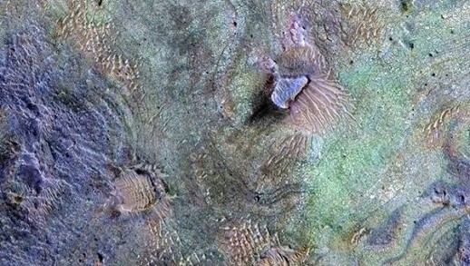 ������ ������������ � ��������� ����� ������������ ��������� �����