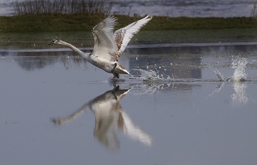 ���������� ������ �������� �� ��������� � ������� �������� �� ��� ����� 10 �����