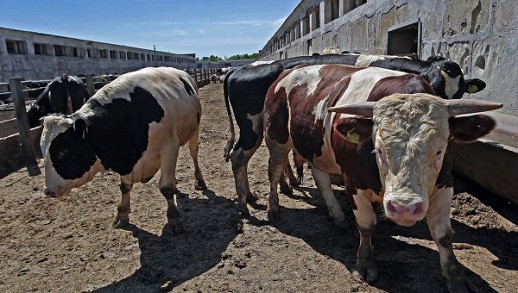 �������� ������ �������� �������� � ���, ��� �������� �������� �������������� �����������