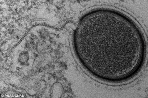 ������� ����� � ������ ������ ����������� ������