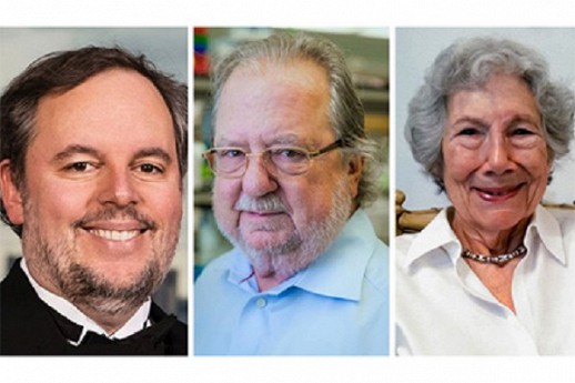 ������� ����� ��������� ������������� ����������� ������ �� ��������