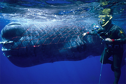 � ��������� ����� ��������� � ��������