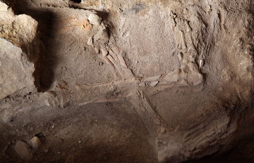 � ������ ������� ����� ������������ ������ ��������