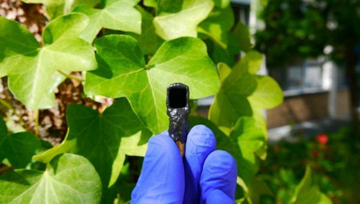 ������: ������������� ���������� ����� ������� ����� � ���