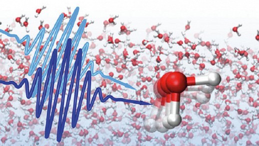 ������ ����� ���������� ���������� ��������� ���� � �� ���������