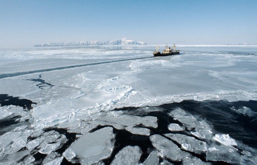 ����� �� ������ ������ �������� ������� � ������� ���������� ��������