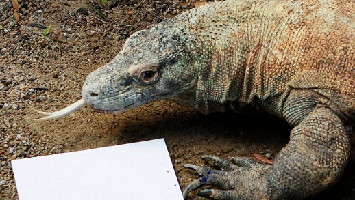 ������: ������ ��������� ��������� ����� ������� � ����������� �������