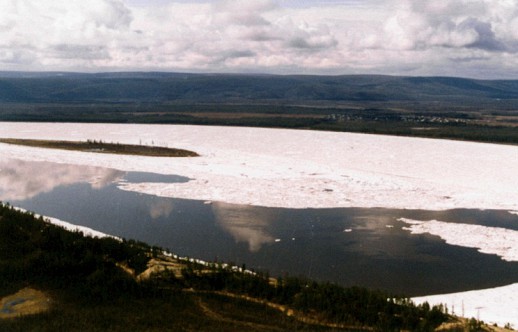 $43 ������ ���� ������������ ������ ��������