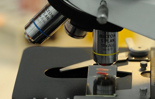 Science Slam � ������: � ����� ��������� �� ����� ������� �����