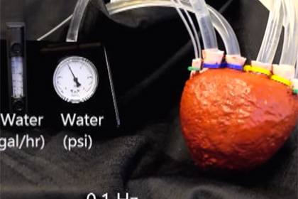 ����� ������ ������������� ������ � ���� ������� �� ����