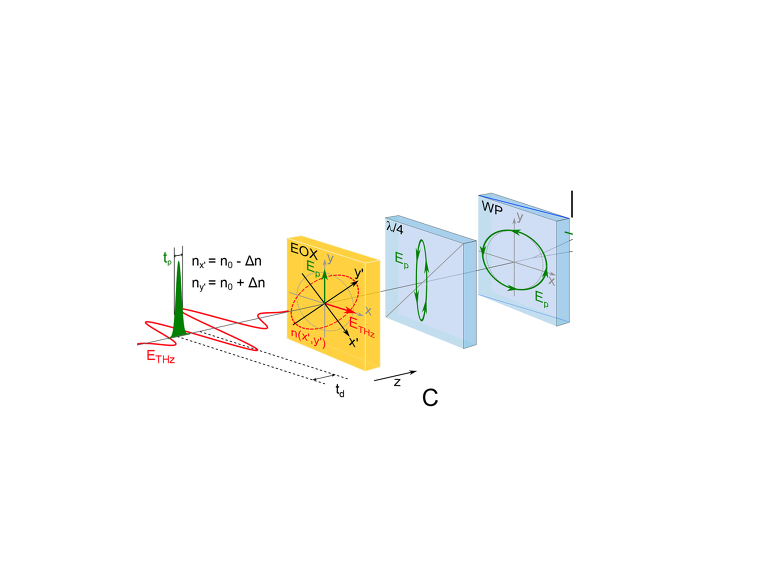 ������, ��������, ������� �������� ��������� ���������� �������