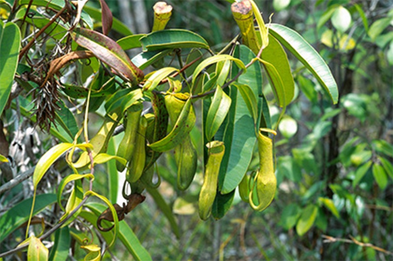 ������ �������� ��������� ������ ����� ����� � ������� ������ �����