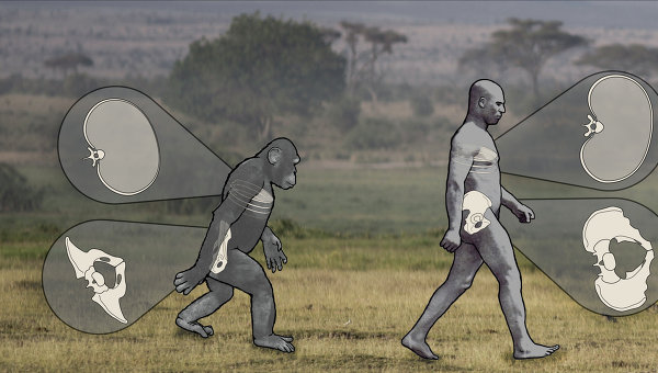 ������� �������� ��������� �� ������������� ������ ����� � �������