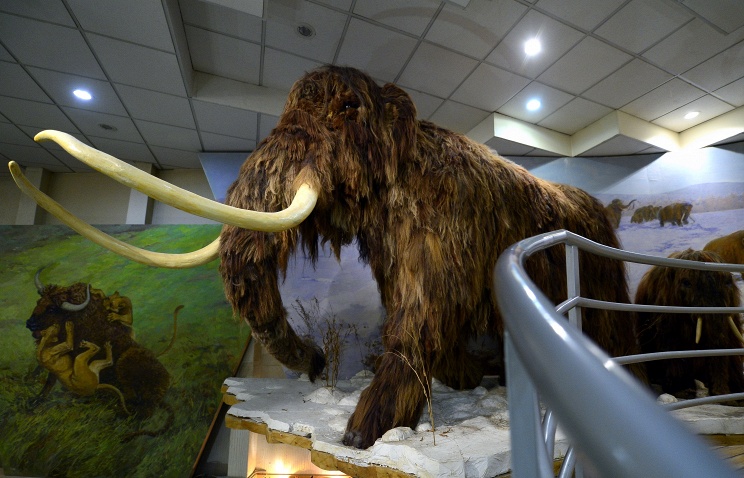 ������ �� �� � ����� ����� ���������� ����� � ���� ������� ����� ������ ��� ������������