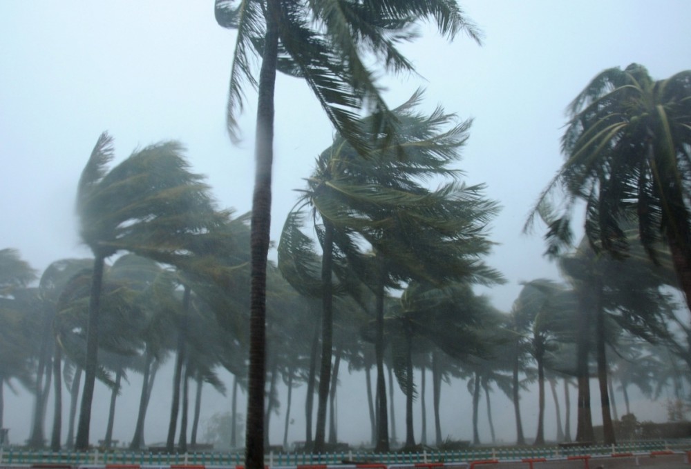 ����� �������� ������ ������ � ����� �������