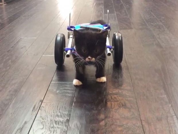 ������ ���������� ���������� ������� �� 3D-��������