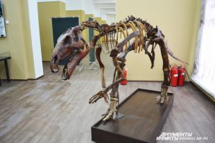 ���������� ������ ������� ��������� ������� ��������� ����������