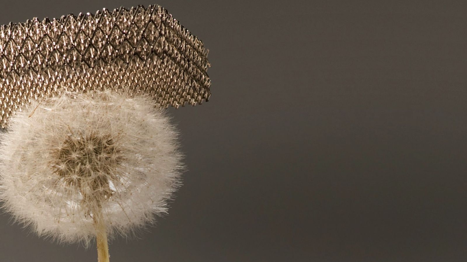 Boeing �������� �� ����� ����� ������ � ���� ������