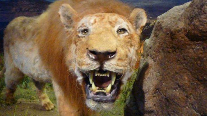 � ������ ����� ������� ��������� ���� ��������� ����� 10 ����� ���