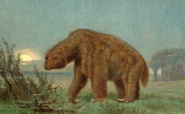 ������������ ������������ ���������� �������� ��������� ���������� �����