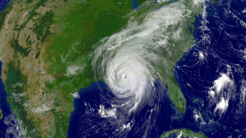 ������ ����� ������� ��������� ��������� ������