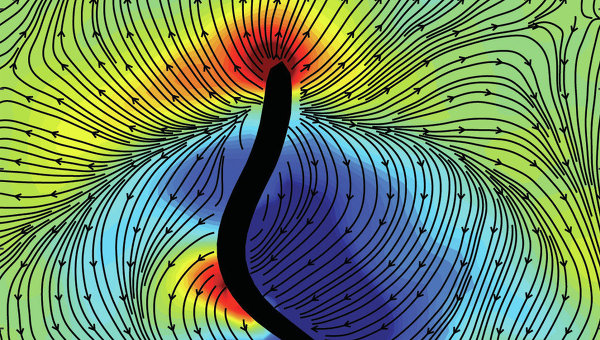 ������: ������ ��������� �����������, � �� ������������ �����������