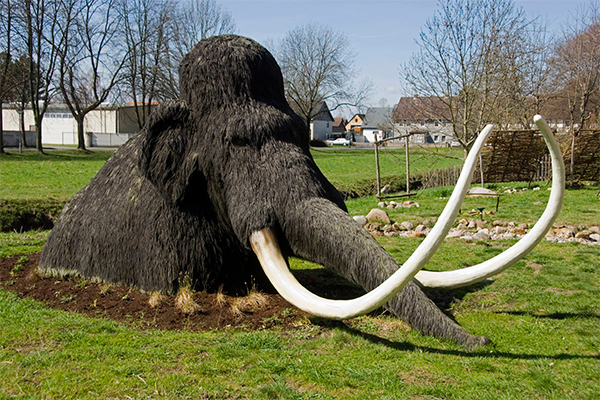 � ������������ ����� �������� ��� �������