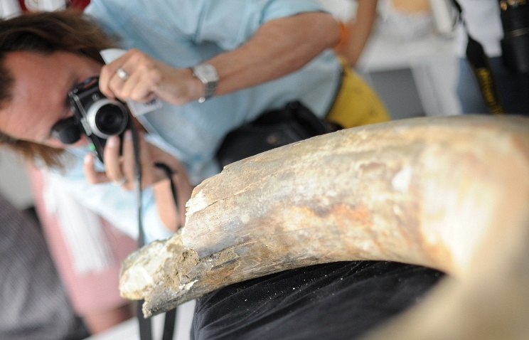 � ������ �������� ����������� �������� �����