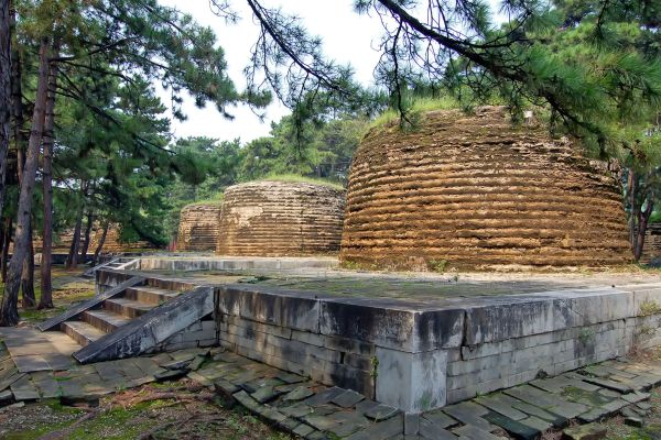 � ��������� �������� ����� ������������ ���������