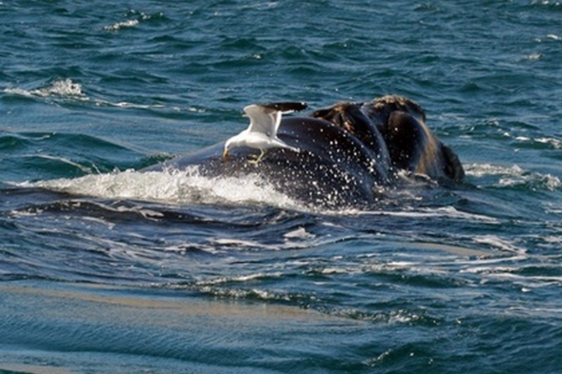 ����� ������ ������� ��������� ����� ������