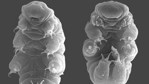 �������� �������� ������ ��������, ��������� ���� � �������� �������