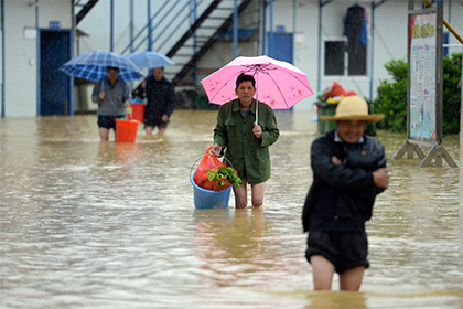 ������ ��������� ������� �������� ��������� �� ����� � ��������� 20 ���