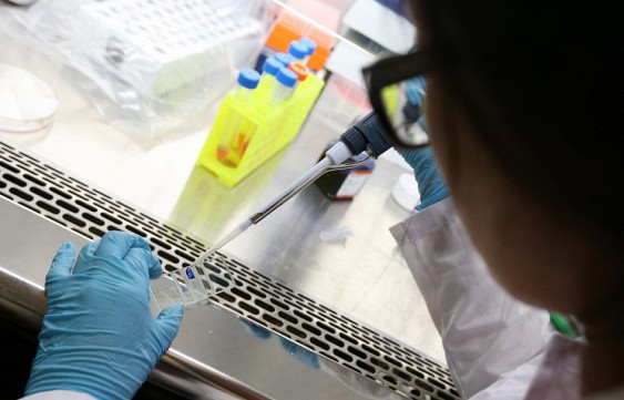 
������ ������� ��������, ��������� �������� ������� �������������
