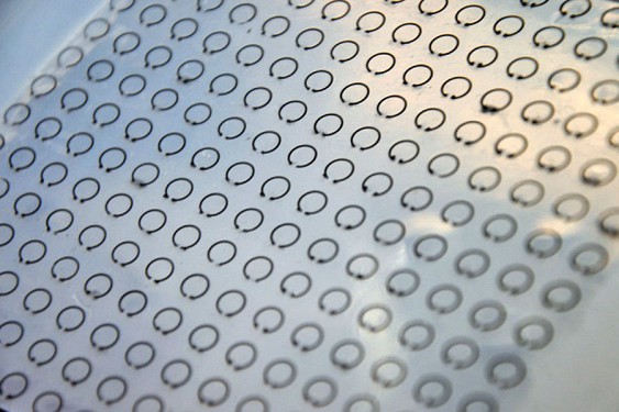 
������ ������� ����� ���������� �����-��������
