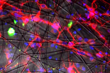 
��������� ����� ������� � ����
