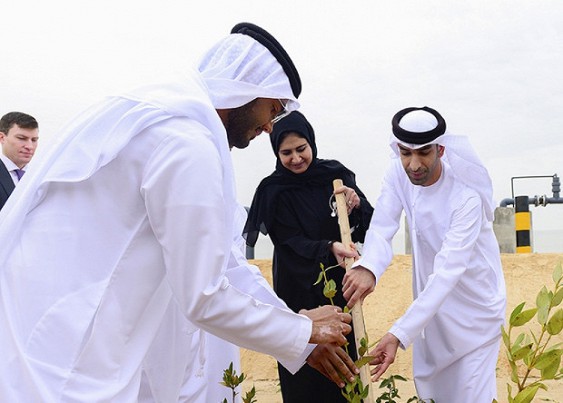 
��������� ���� � ���� ������� ������ ������ ����������
