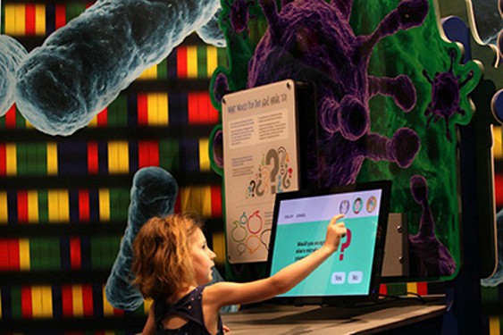 
������ ��������� ��������������� ���-��������
