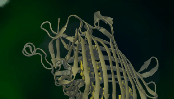 
      ������ �������� ���� �� ��������� �������� �����������
    