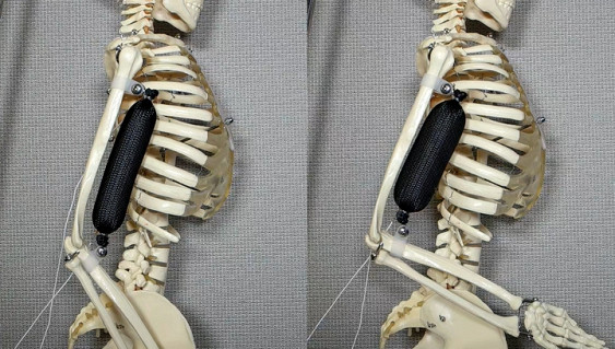 
      � ��� ���� ������� ��������: ������ ������ 