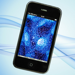 ����� ���������� �������� � �����������